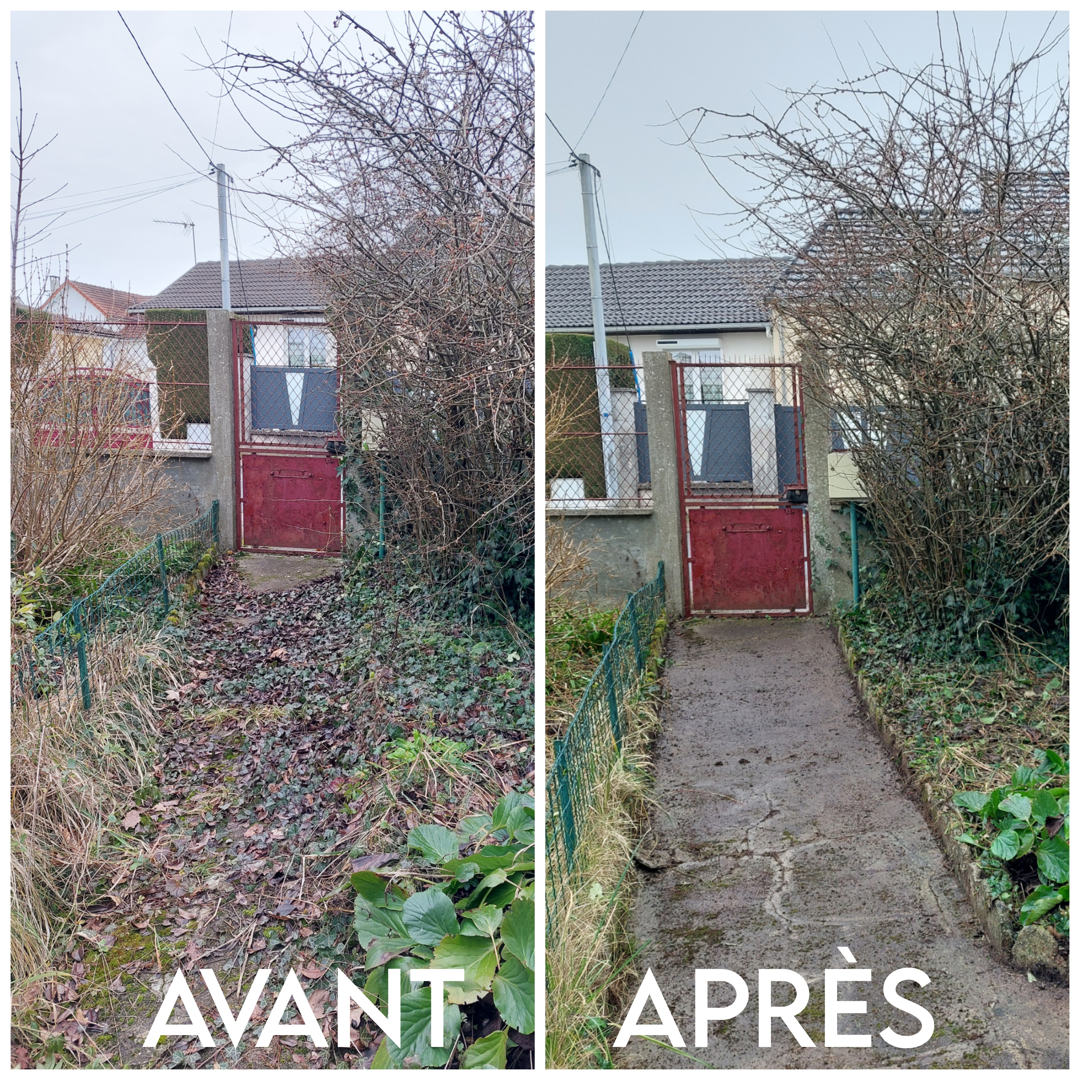Jardinage avant après — allée dégagée